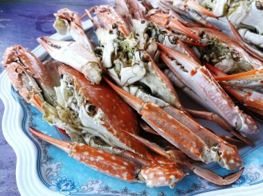 plaka üzerinde akış Yengeç 