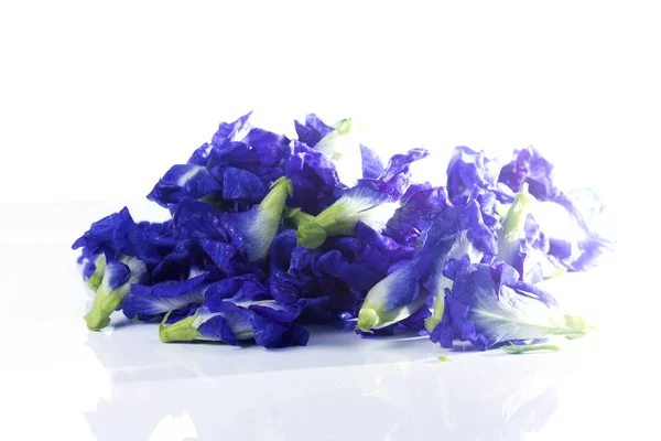 Butterfly pea flower — Stock Photo, Image
