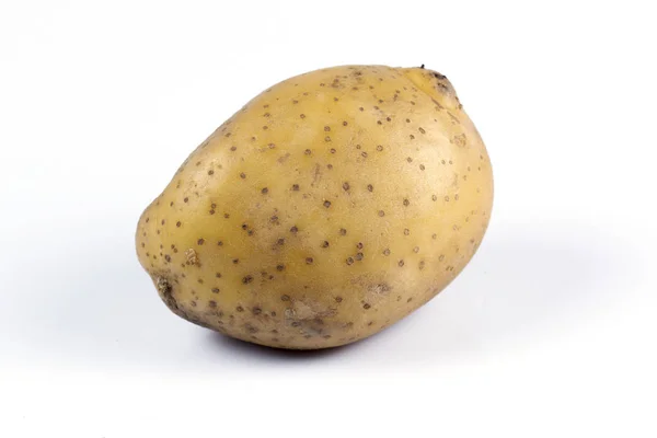 Young potato — Stock Photo, Image