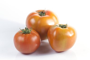 taze domates 
