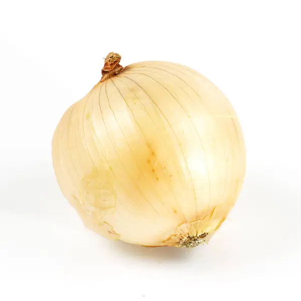 Fresh onion isolated — Stock Photo, Image
