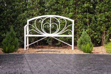 Sabahları bankta ve ağaçta 