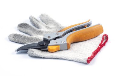 Turuncu dal makas ve eldiven