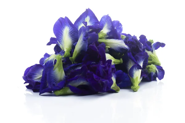 Group of Butterfly pea flower — Stock Photo, Image