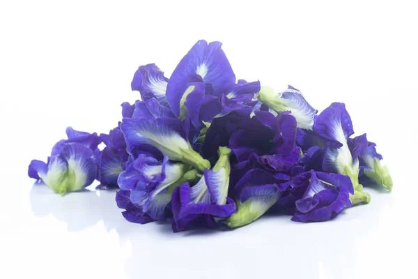 Group of Butterfly pea flower — Stock Photo, Image