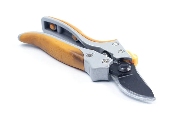 Orange  branch scissor — Stock Photo, Image