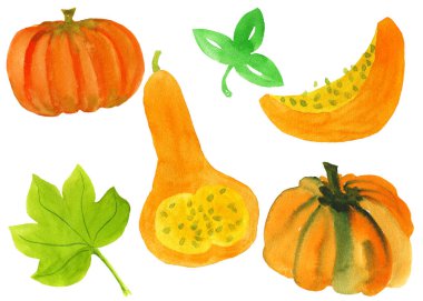 Sonbahar balkabağı, kabak ve yaprakları.