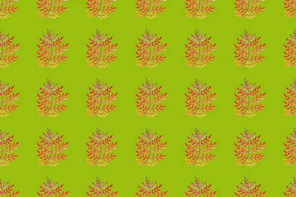 Aquarell nahtloses Muster mit rot-gelben Blättern — Stockfoto