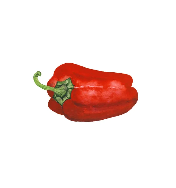 Υδατογραφία ρεαλιστική κόκκινη πιπεριά, πάπρικα — Φωτογραφία Αρχείου