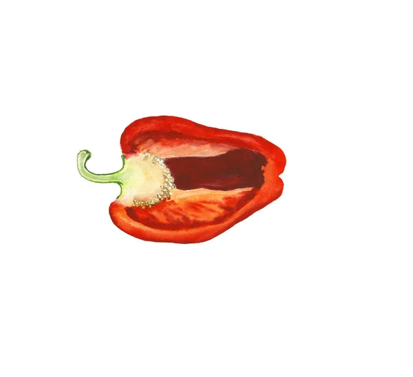 Ilustración de acuarela de pimiento rojo cortado, pimentón — Foto de Stock