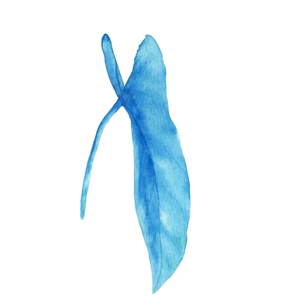 Akwarela niebieski liść anthurium — Zdjęcie stockowe