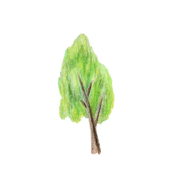 Ilustración de un árbol verde con lápices de colores — Foto de Stock