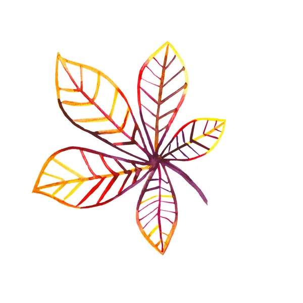 Hand-drawn multi-colored leaf silhouette — Stock Photo, Image