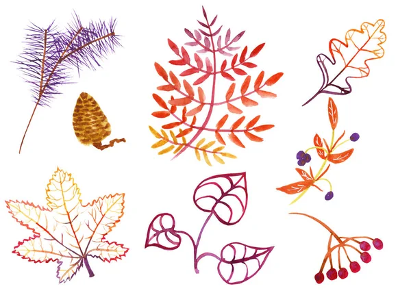 Conjunto de folhas de outono aquarela e frutas — Fotografia de Stock