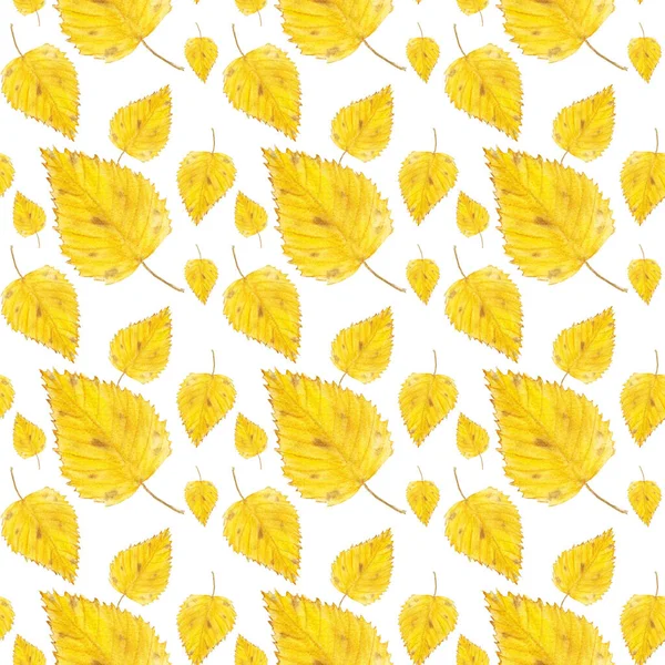 Watercolor seamless pattern with yellow birch leaves — Stock Photo, Image