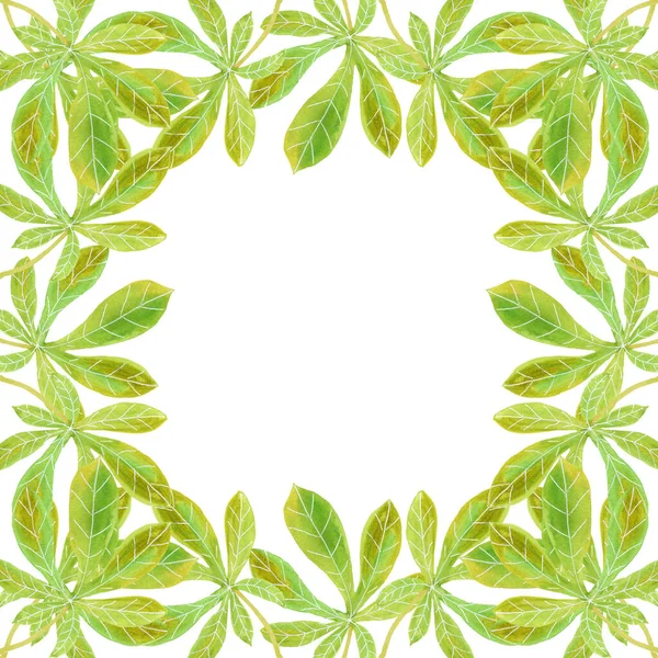 Διακοσμητικό πλαίσιο νερομπογιάς με πράσινα φύλλα — Φωτογραφία Αρχείου
