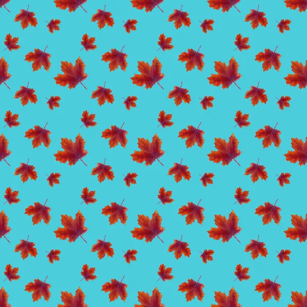 Nahtloses Muster mit lackierten Ahornblättern — Stockfoto