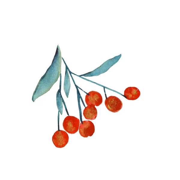 Akvarell kvist med röda bär — Stockfoto