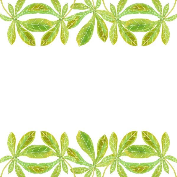 Διακοσμητικό πρότυπο υδατογραφίας με πράσινα φύλλα κάστανου — Φωτογραφία Αρχείου