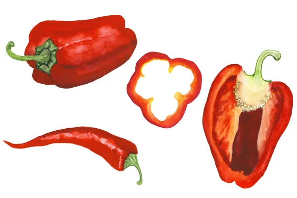 Watercolor realistic red peppers set — Stock Photo, Image