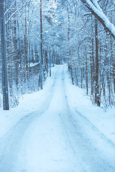 Śnieżna zimowa droga na wsi — Zdjęcie stockowe