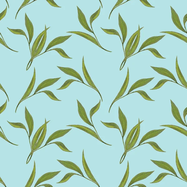 Nahtloses Muster aus Aquarell grünen Zweigen — Stockfoto