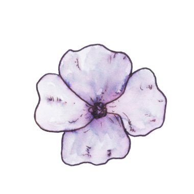 Mürekkepli narin mor çiçek