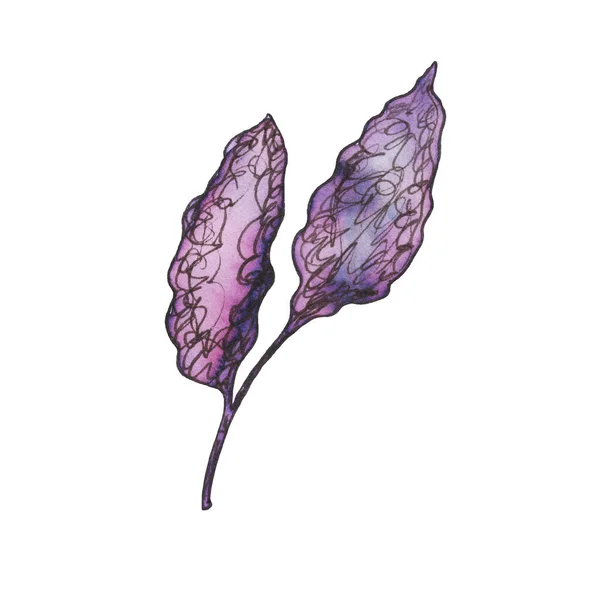 브랜디 나뭇잎 삽화를 넣는다 손으로 Doodle 보라색 삽화는 배경에 고립된 — 스톡 사진