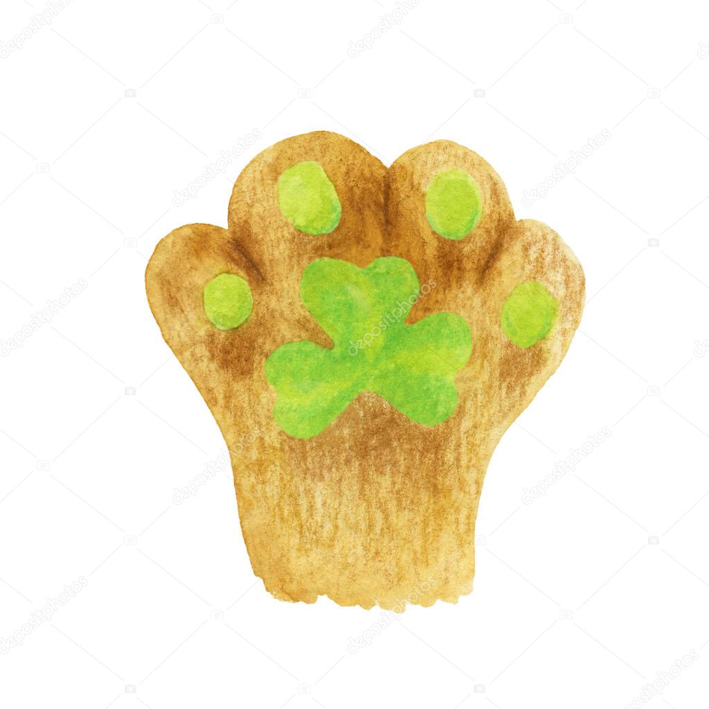 Cats foot with a green shamrock pad