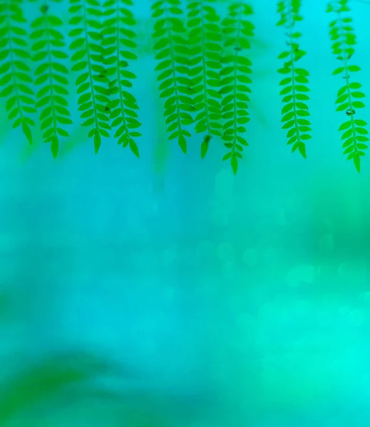 Turkusowy Niebieski Abstrakcyjne Tło Pięknym Bokeh Rozmycia Kadrowanie Zielonych Liści — Zdjęcie stockowe