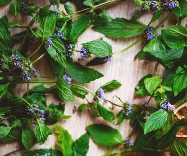 Dal ve nane çiçeklerinin arka planı. Mevsimlik aromatik çay için arka plan. Taze naneli bitki çayı. Yeşil mentha yaprakları ve çiçekler