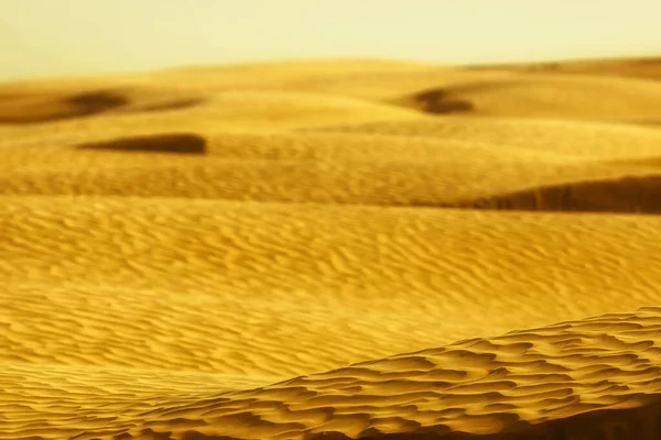 Gyllene Sanddyner Och Barkhaner Öknen Saharaöknen Sandlandskap Vindstruktur Sanden Naturligt — Stockfoto