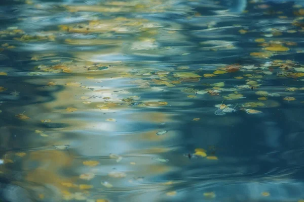 Zacht Blauwe Achtergrond Stralend Wateroppervlak Met Herfstbladeren Reflecties Gele Bladeren — Stockfoto