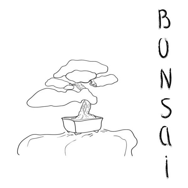 Bonsai árvore contorno preto vetor ilustração — Vetor de Stock