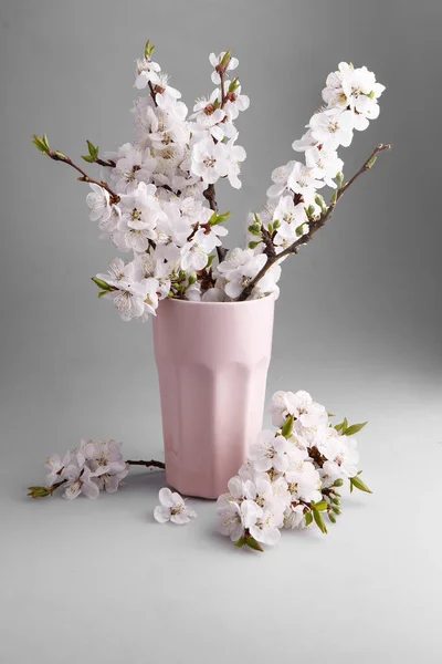 Vazoda çiçek açan kiraz. Masanın üzerinde bir buket kiraz ağacı dalı.. 