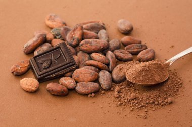 Çikolata, kakao tozu ve kakao çekirdeği.
