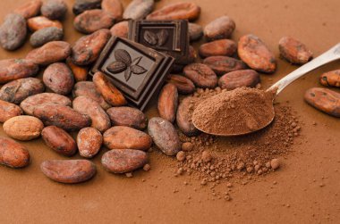 Çikolata, kakao tozu ve kakao çekirdeği.