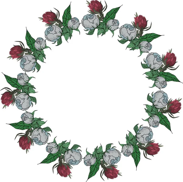 Rama Niebieskich Piwonii Różowej Koniczyny Kwiaty Białym Tle — Zdjęcie stockowe