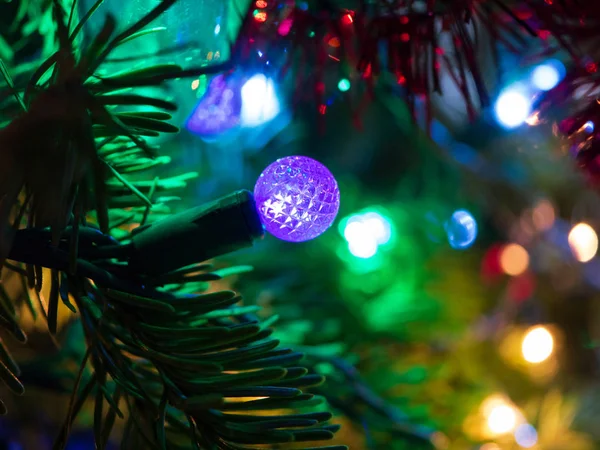 Noel ağacının mor ışığı makro detaylar sho