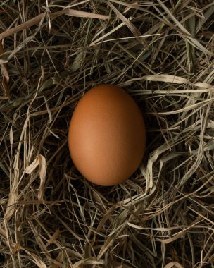 Bir kahverengi yumurta samanlıkta yatıyor.