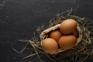 Saman üstünde kahverengi tavuk yumurtası