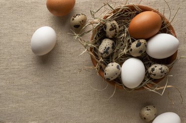 Bıldırcın yumurtası ve beyaz tavuk yumurtası.