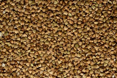 Çiğ yeşil karabuğday taneleri. Arkaplan