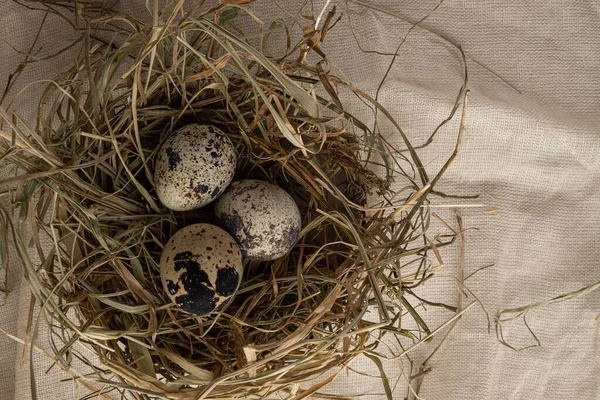 Quail Eggs Nest Hay Beige Fabric View — Stock Photo, Image