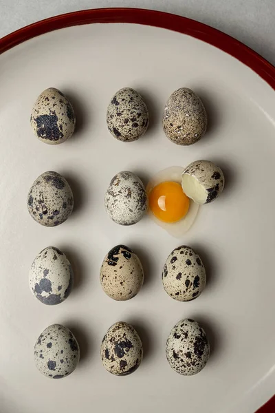 Quail eggs in a row on white plate with red edge. One egg is broken, the yolk leaked. — Stockfoto