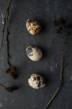 Karanlık bir yüzey üzerinde üç bıldırcın yumurtası ve alder konileri. Düz yatıyordu