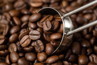 Metal kaşık ve kahve çekirdekleri. Yakın plan.