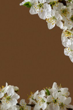 Elma ağacı çiçekli kart şablonu.