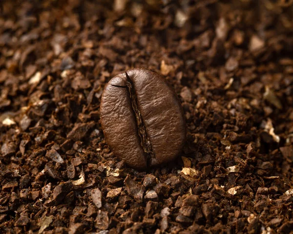 Macro di un chicco di caffè sul caffè macinato — Foto Stock