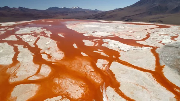 Vulcão Licancabur Nevado Nos Andes Montains Que Refletem Wate — Fotografia de Stock